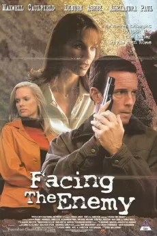 Facing the Enemy