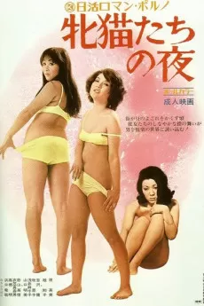 Mesunekotachi no yoru