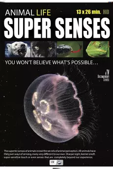 Super Senses