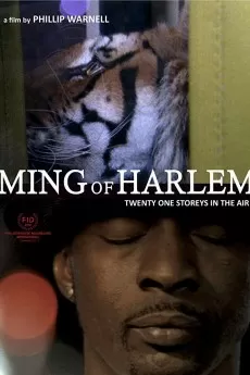 Ming of Harlem: Twenty One Storeys in the Air