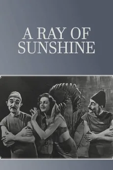 A Ray of Sunshine: An Irresponsible Medley of Song and Dance