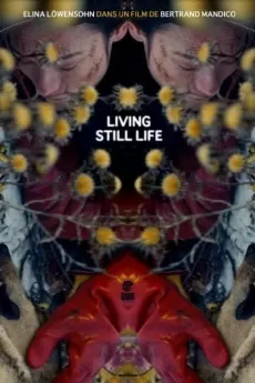 Living Still Life