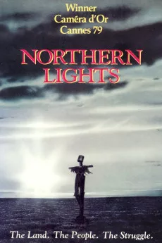 Northern Lights