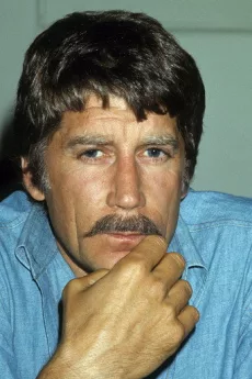 Alex Cord poster