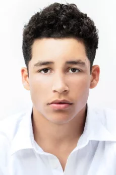 Andrew Liner poster