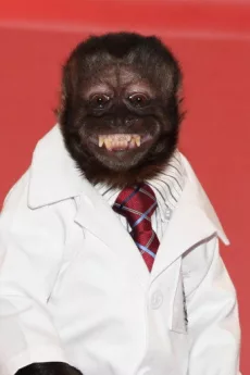Crystal the Monkey poster