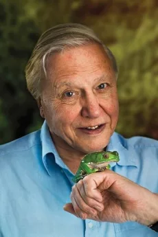 David Attenborough poster