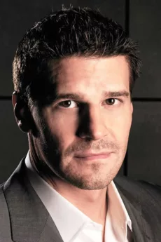 David Boreanaz poster
