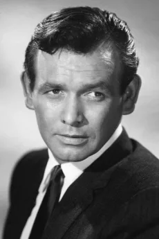 David Janssen poster