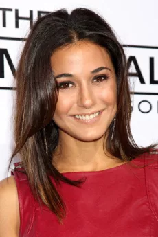 Emmanuelle Chriqui poster