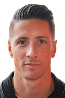 Fernando Torres poster