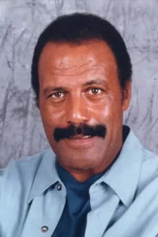 Fred Williamson poster