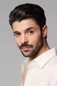 Halit Özgür Sarı poster
