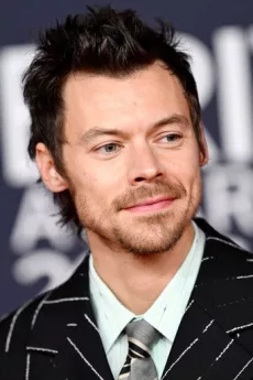 Harry Styles poster