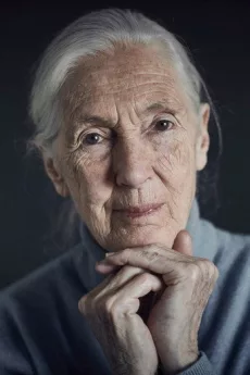 Jane Goodall poster