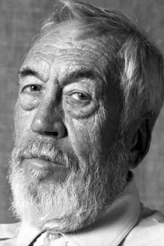 John Huston poster