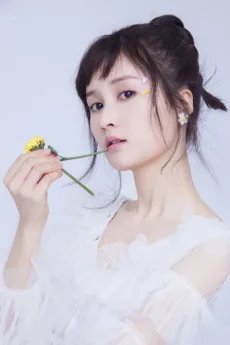 Li Nuo poster