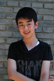 Liu Wenqing poster