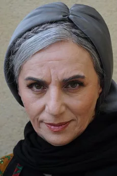 Maryam Boubani poster