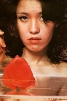 Meika Seri poster