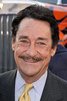 Peter Cullen poster