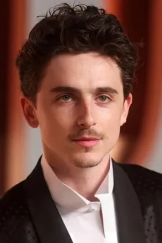 Timothée Chalamet poster