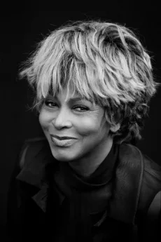 Tina Turner poster