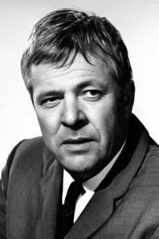 William Windom poster