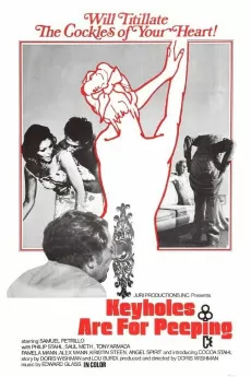 Keyholes Are for Peeping