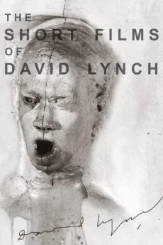 The Short Films of David Lynch