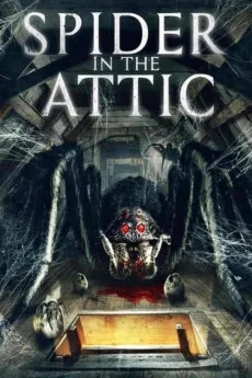 Spider from the Attic