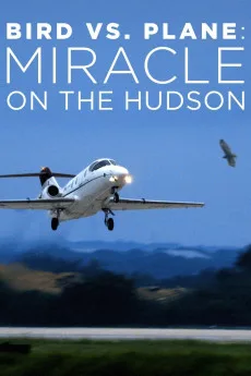 Bird vs. Plane: Miracle on the Hudson