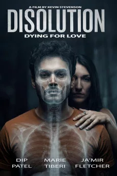 Disolution