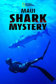 Maui Shark Mystery
