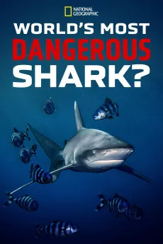 World's Most Dangerous Shark